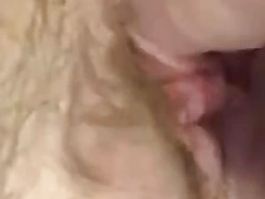 Lexii Sapphire tears up her creamy cootchie with a massive fake penis and a pearly beaver